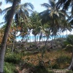 Wasserfall und Strand